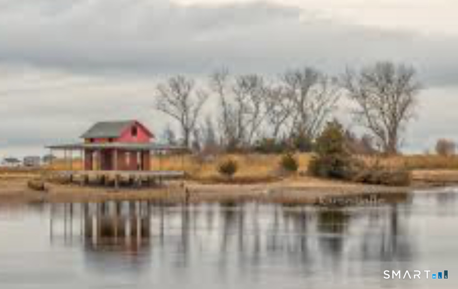 MLS #24145889 image #5