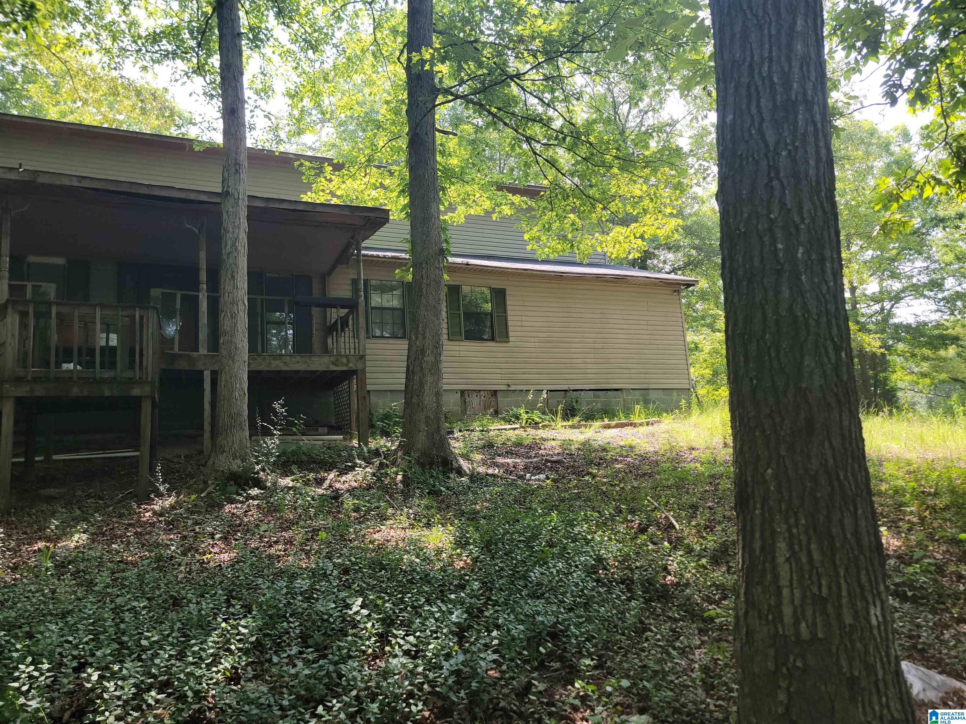 MLS #1357509 image #36