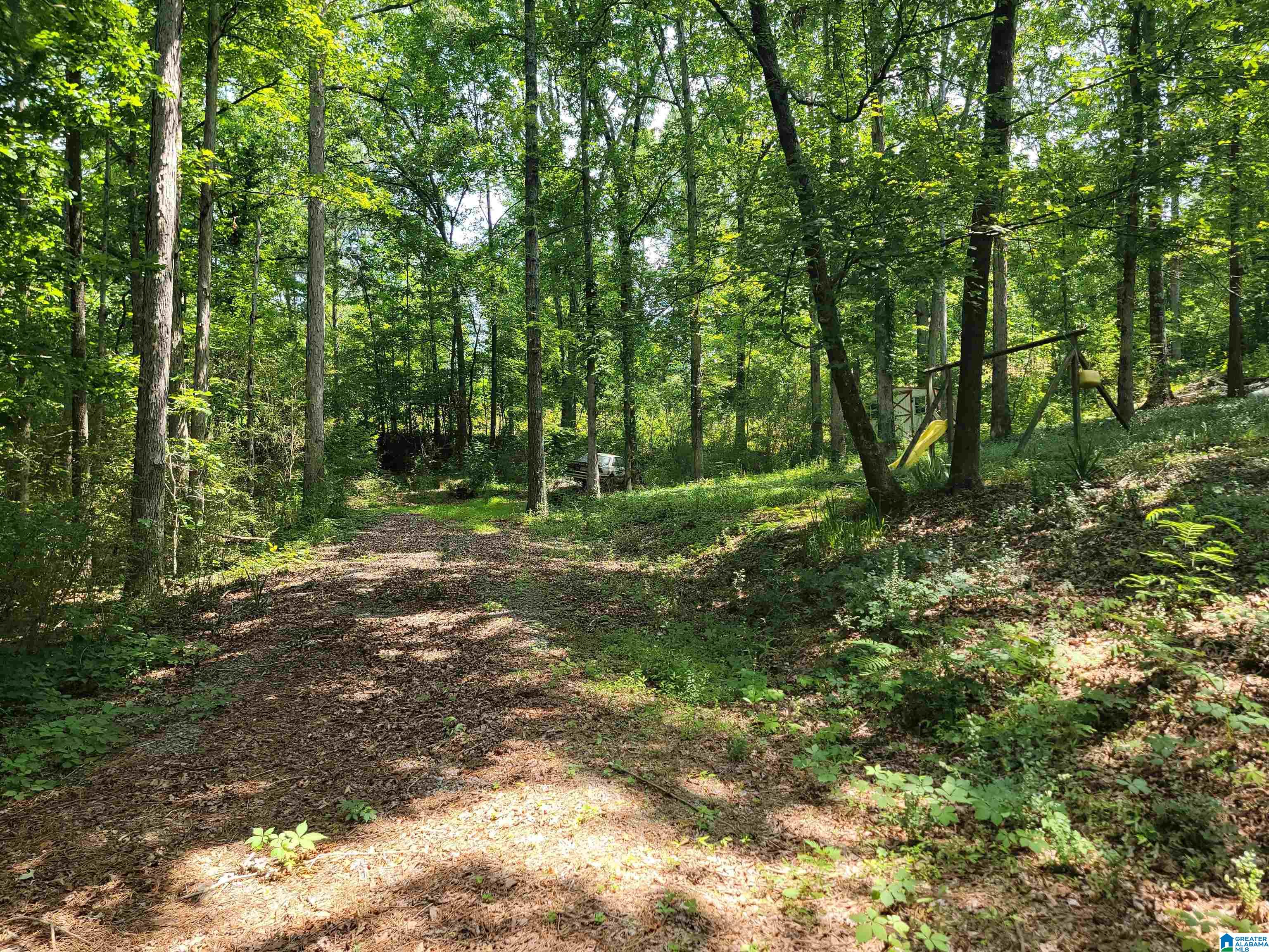 MLS #1357509 image #39