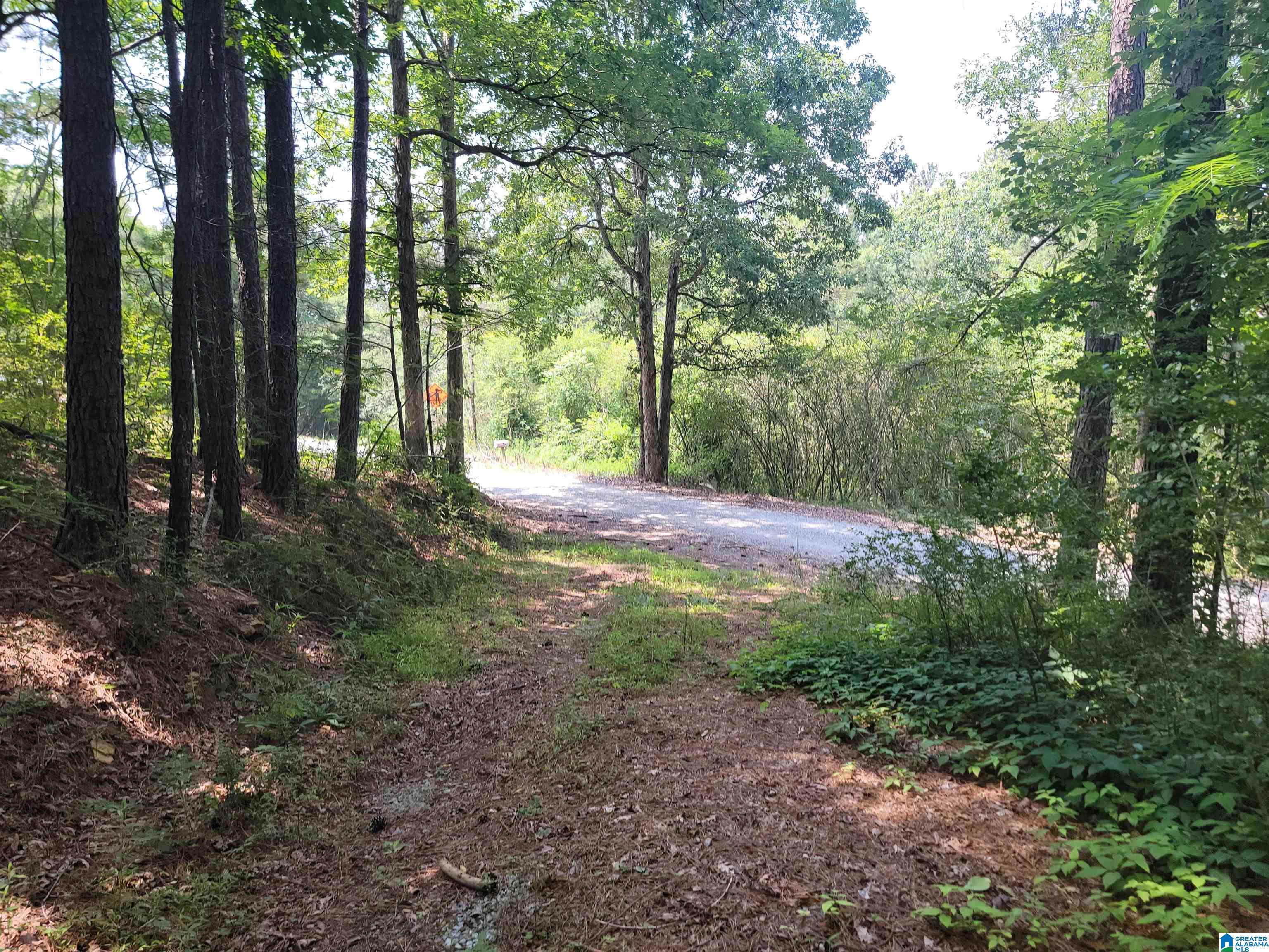 MLS #1357509 image #40