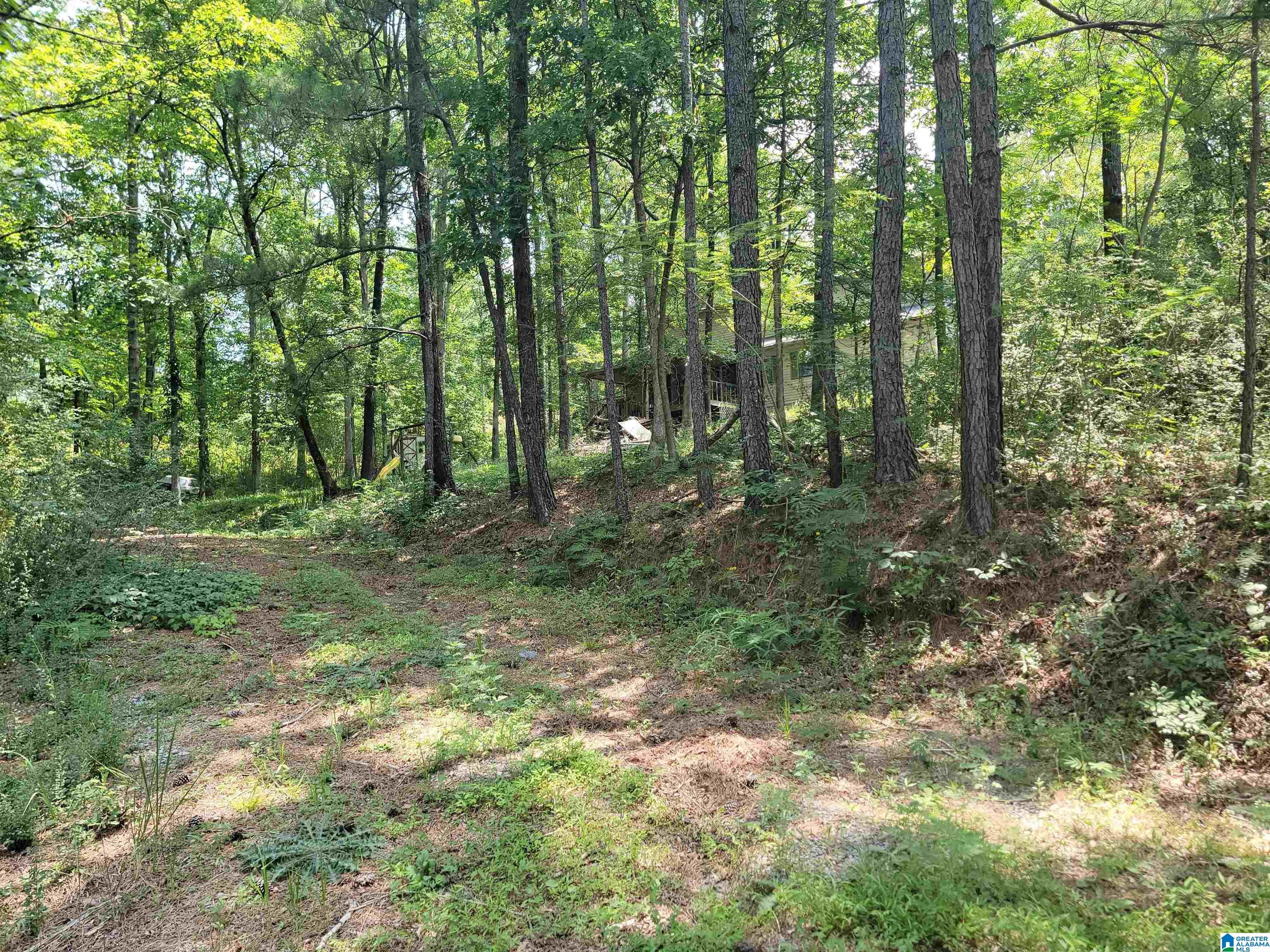 MLS #1357509 image #41