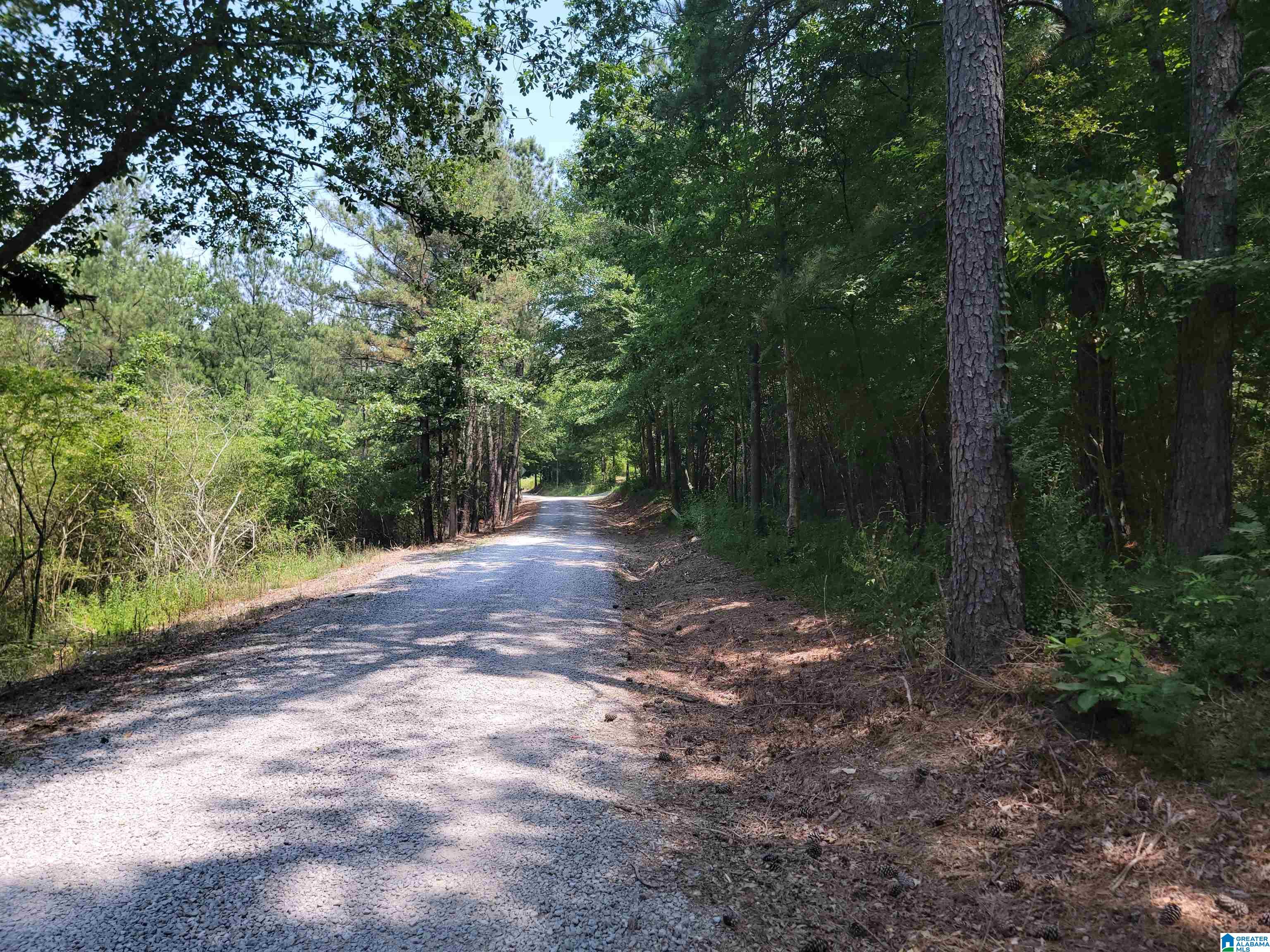 MLS #1357509 image #42