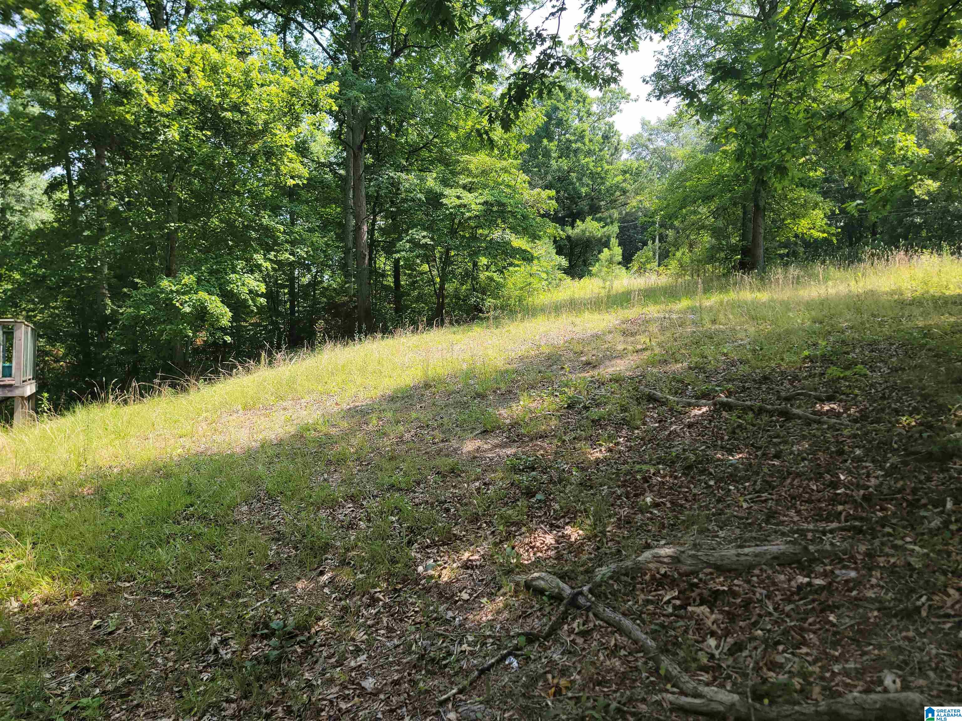 MLS #1357509 image #7