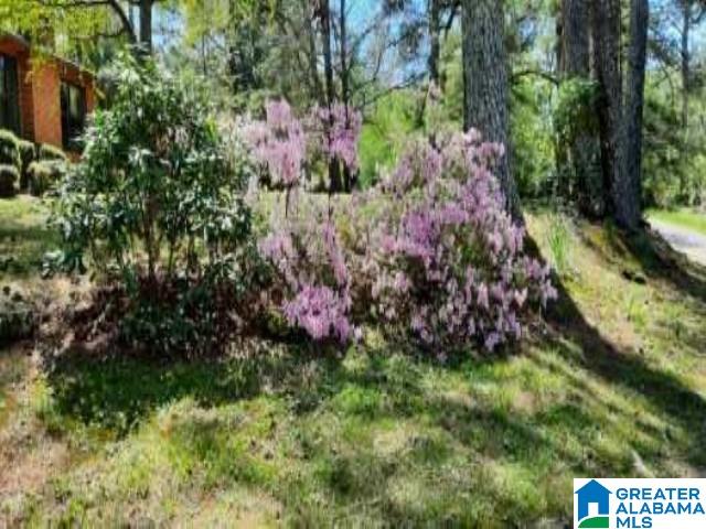 MLS #21419192 img 50