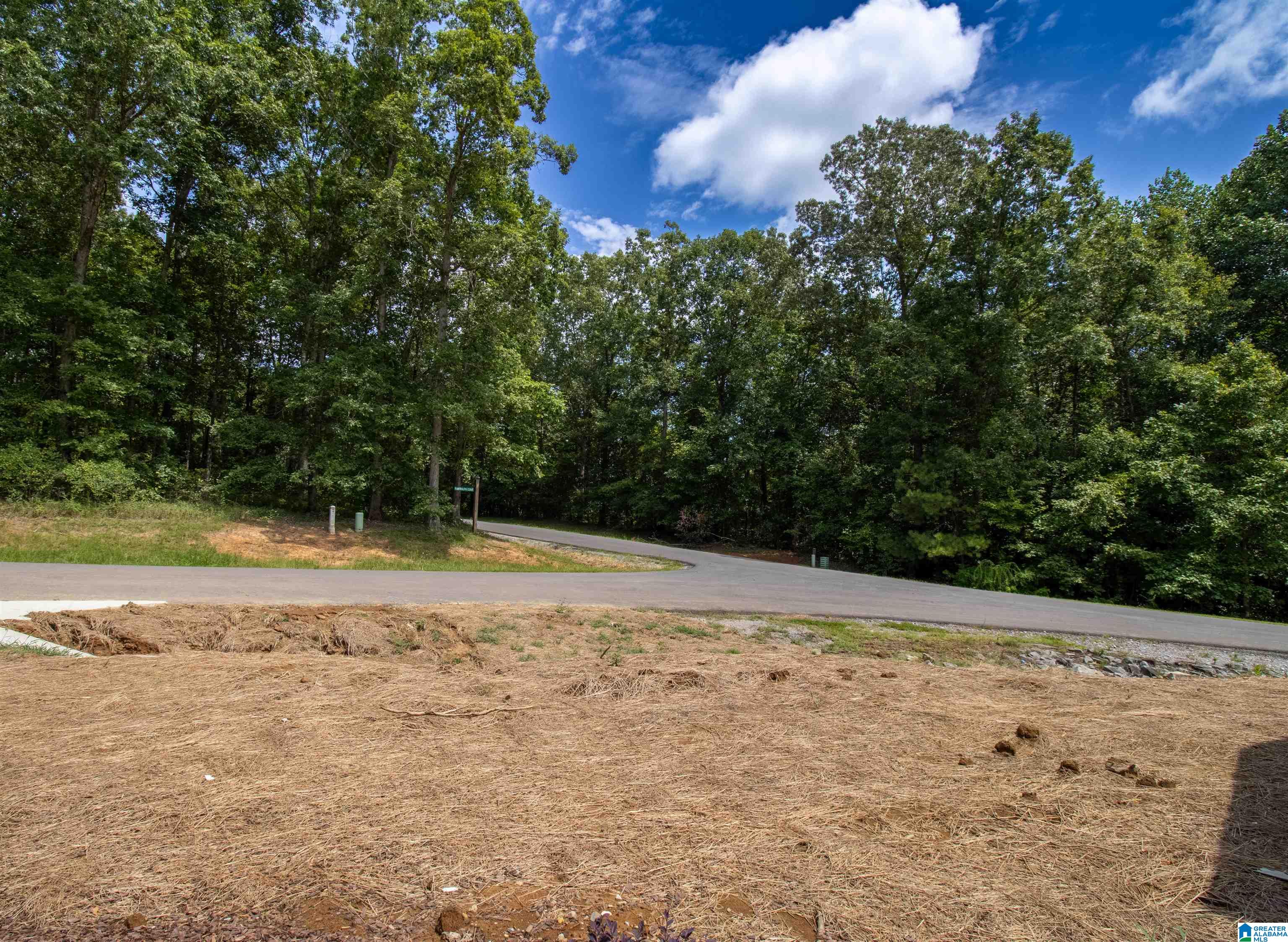 MLS #21428755 img 30