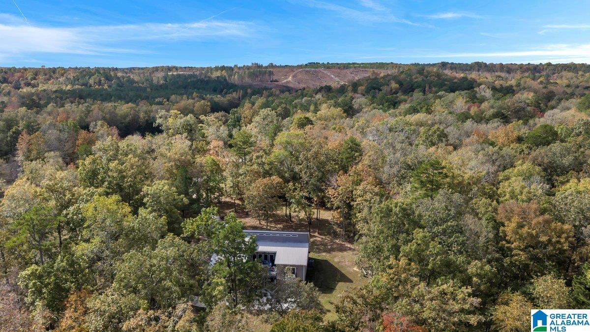 MLS #21435856 img 62