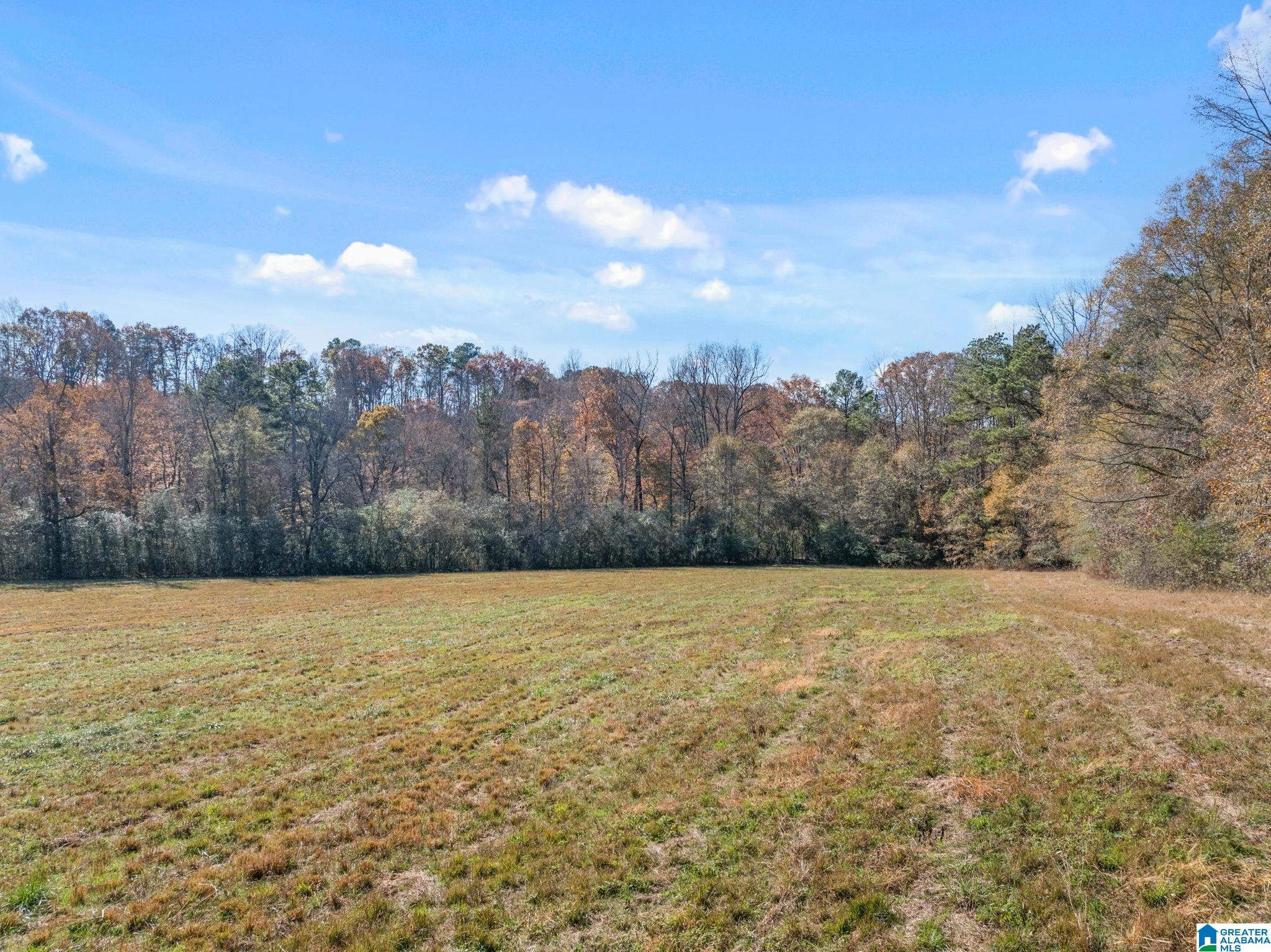 MLS #21437187 img 40