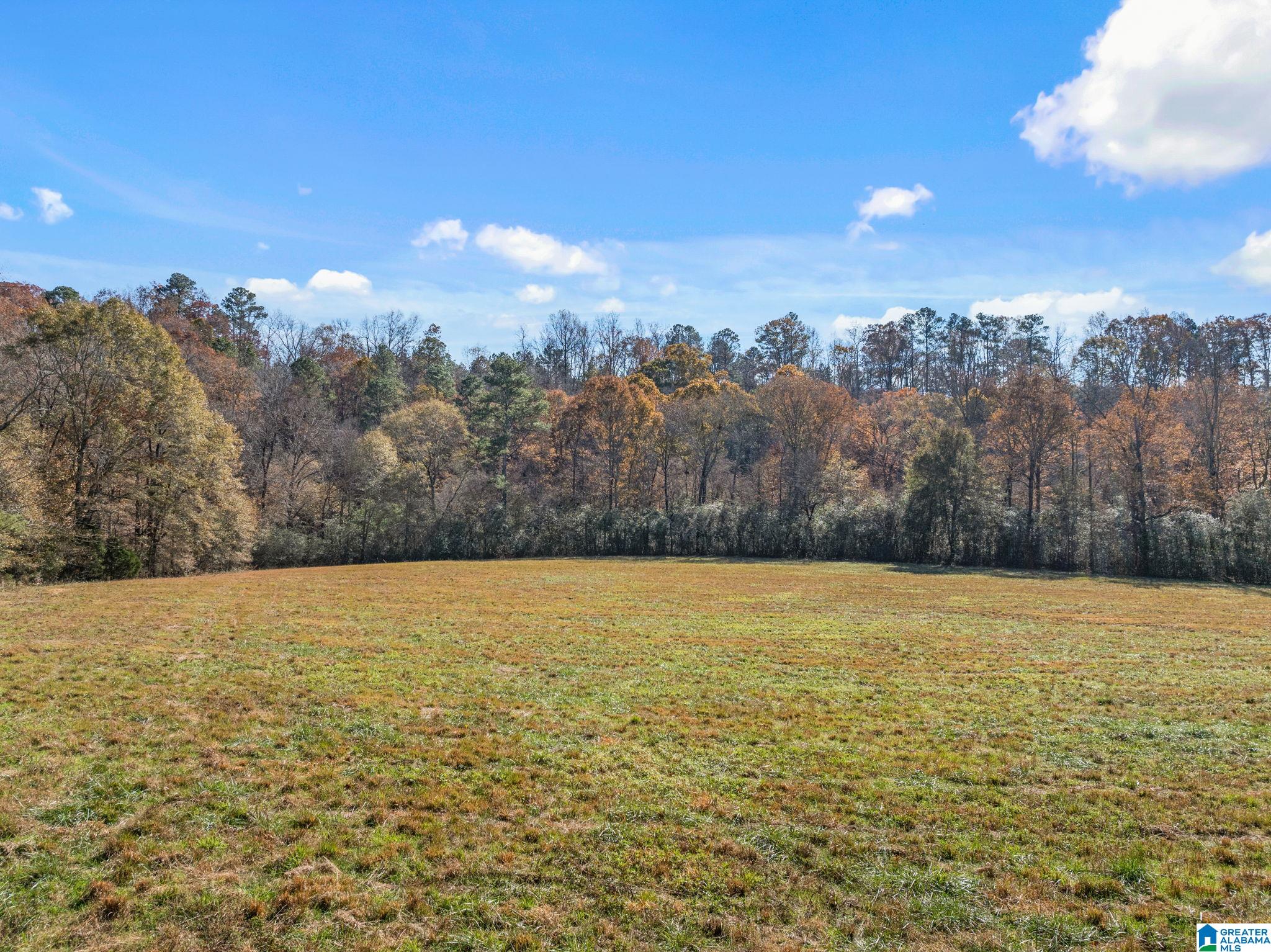 MLS #21437187 img 41