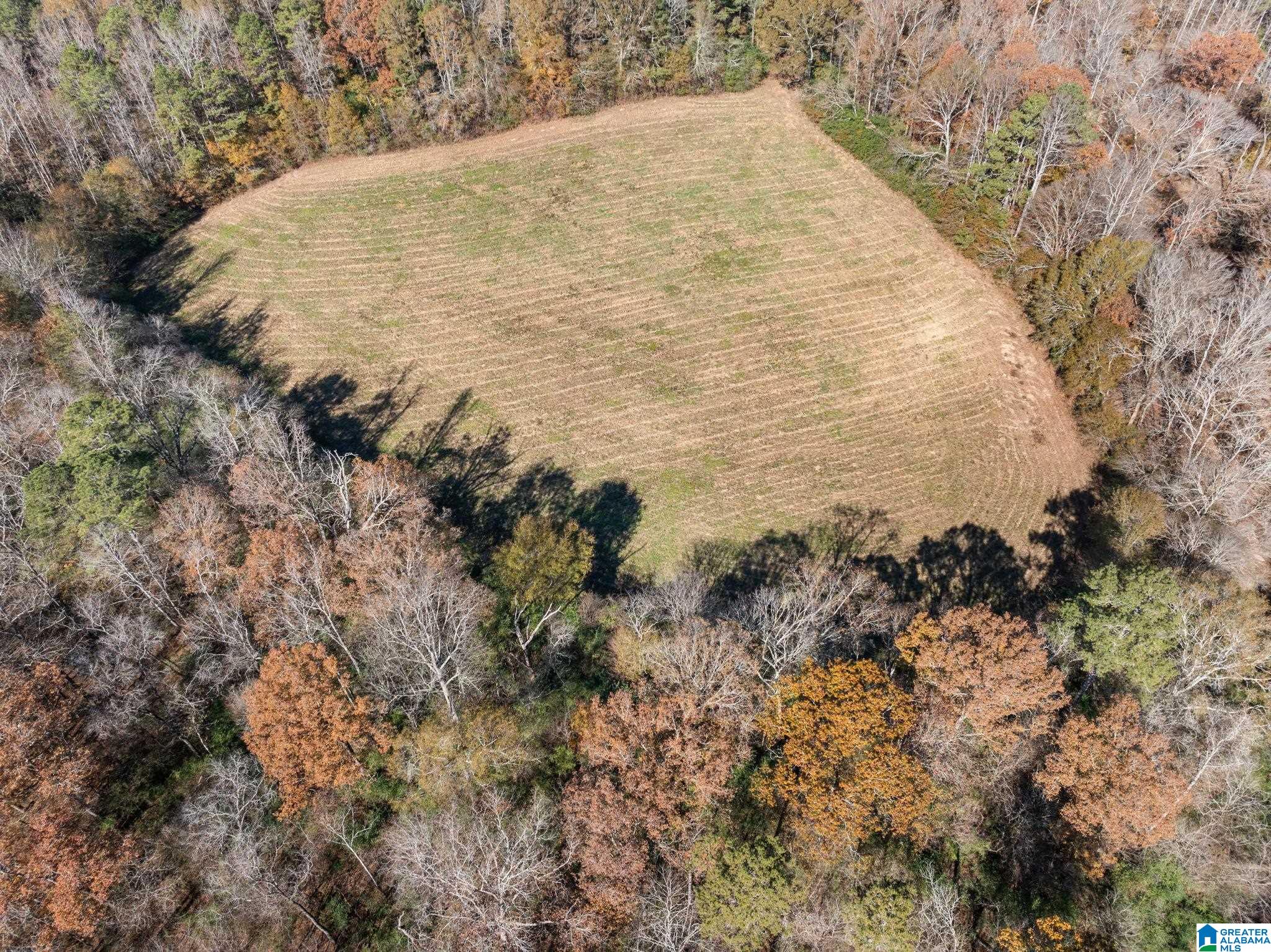 MLS #21437187 img 42