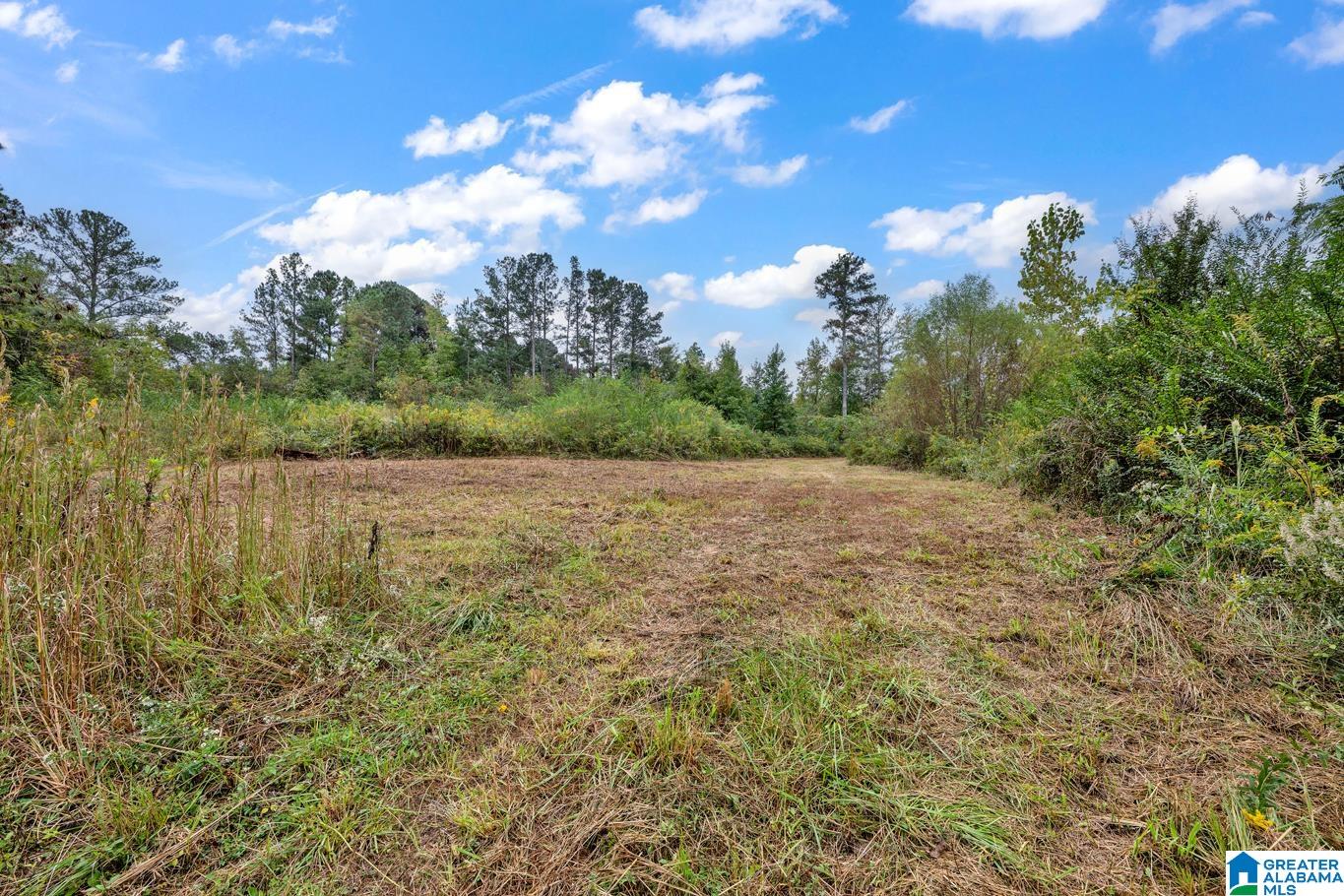 MLS #21438548 img 28