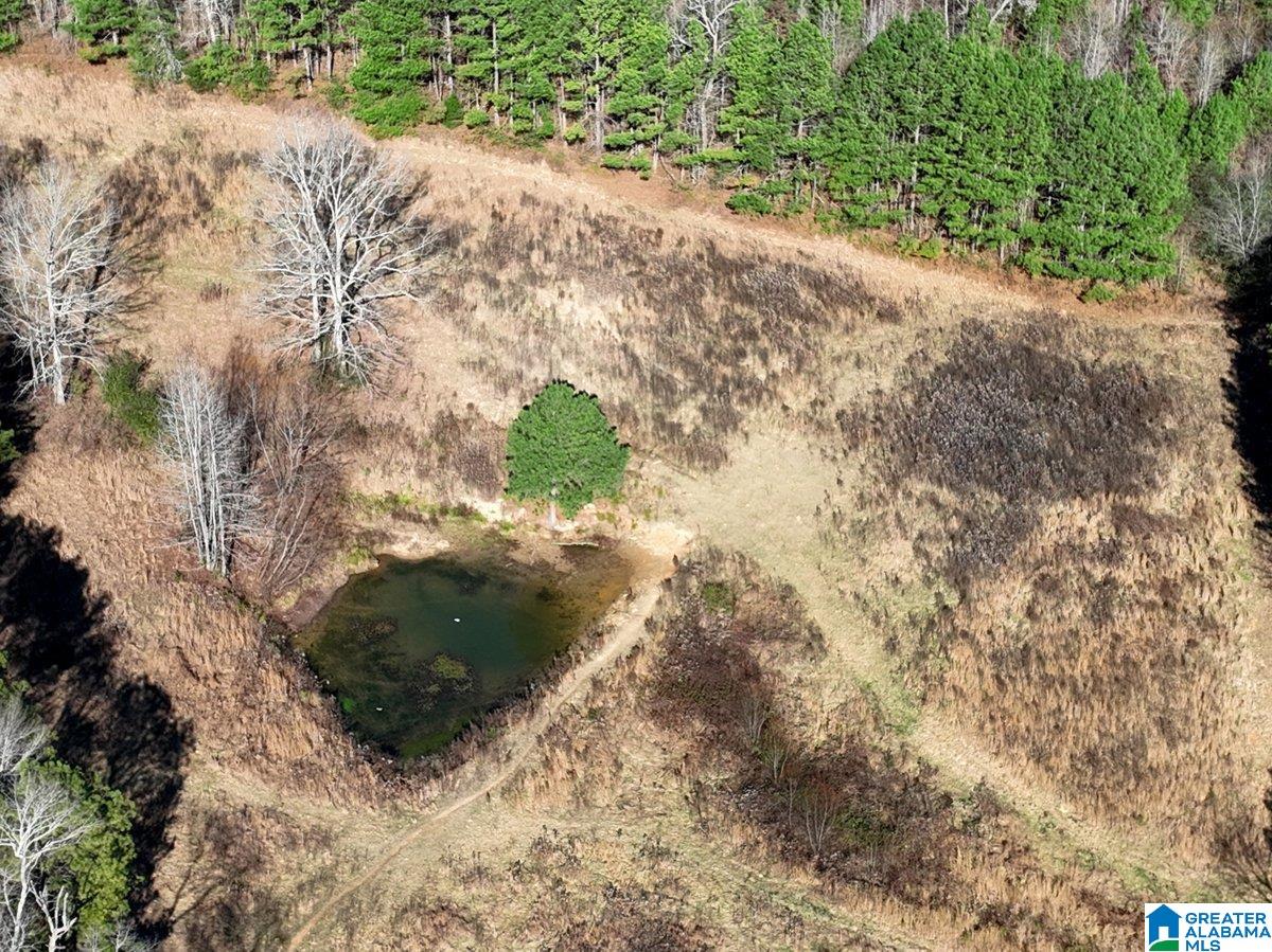 MLS #21439023 img 27