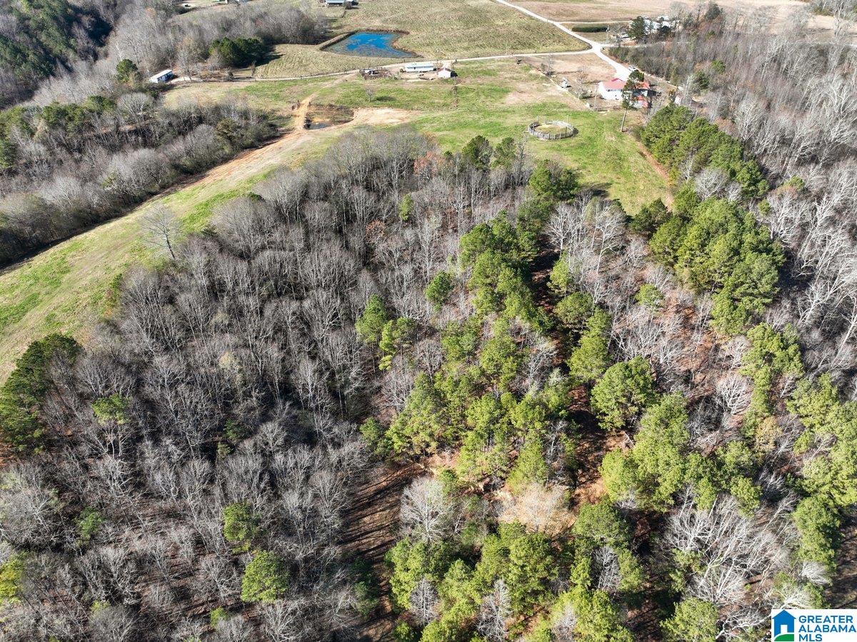 MLS #21439023 img 28