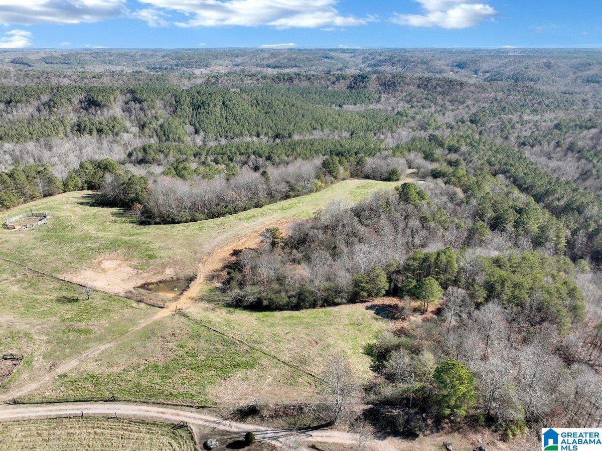 MLS #21439023 img 29