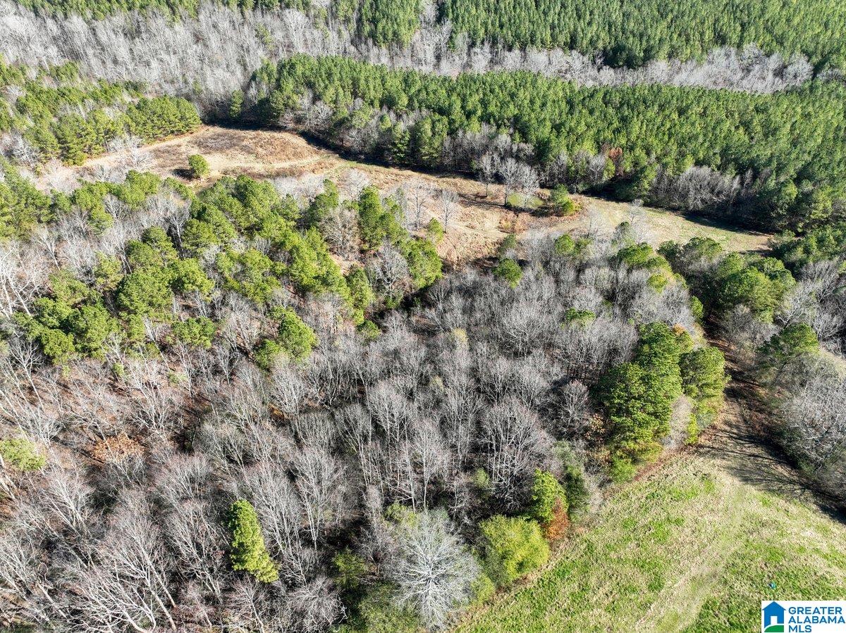 MLS #21439023 img 31