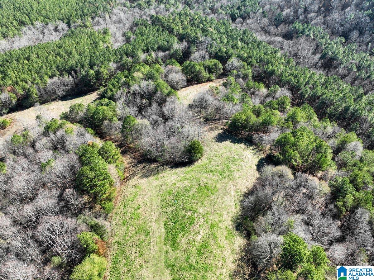 MLS #21439023 img 32