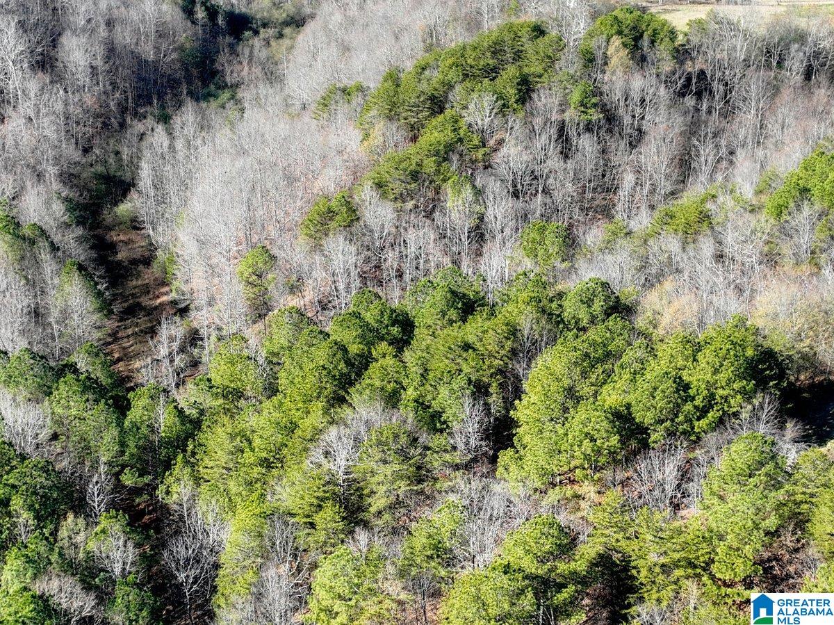 MLS #21439023 img 33