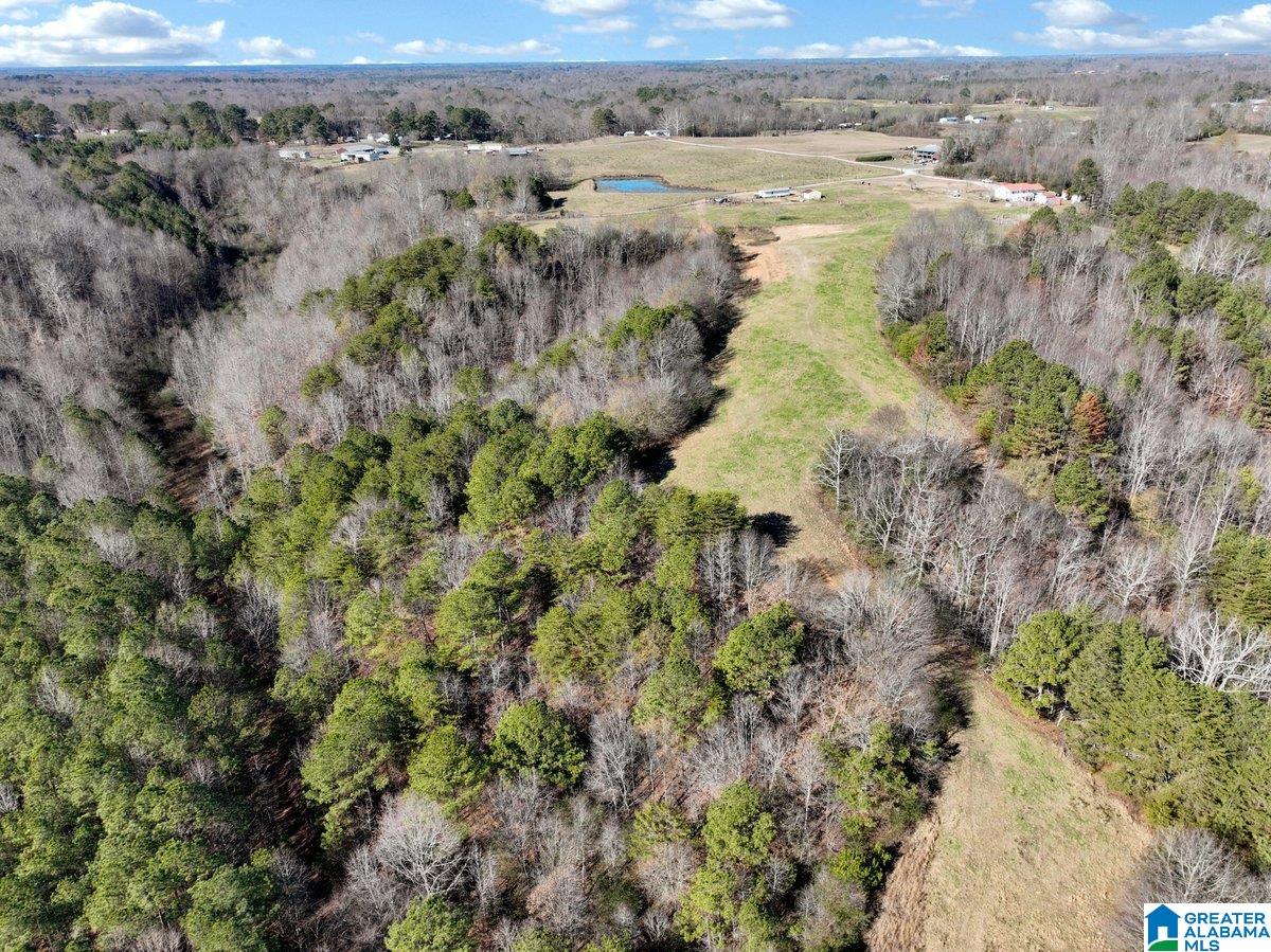 MLS #21439023 img 34