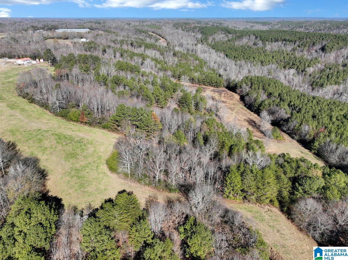 MLS #21439023 img 35