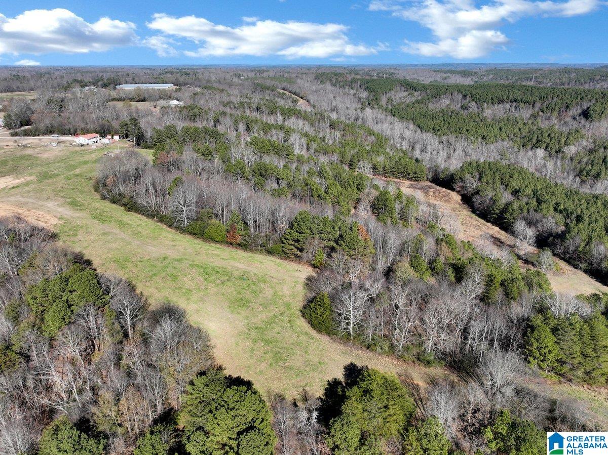 MLS #21439023 img 36