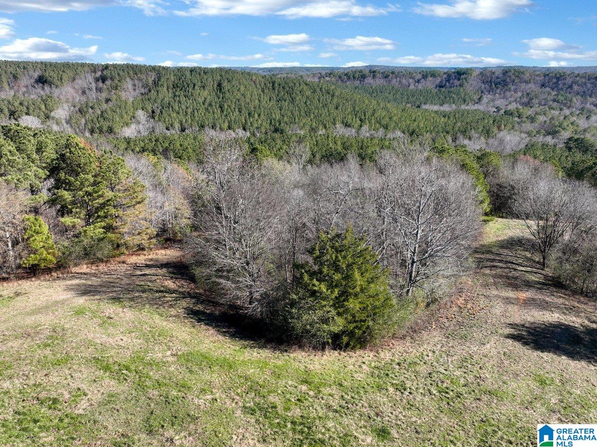 MLS #21439023 img 37