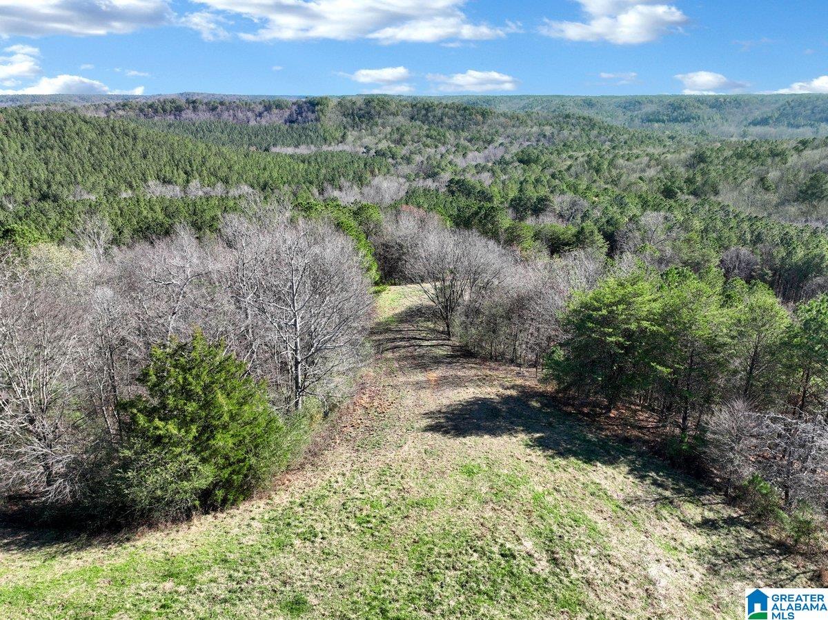 MLS #21439023 img 38