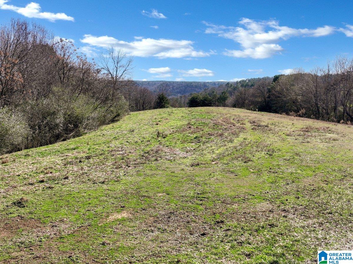 MLS #21439023 img 39