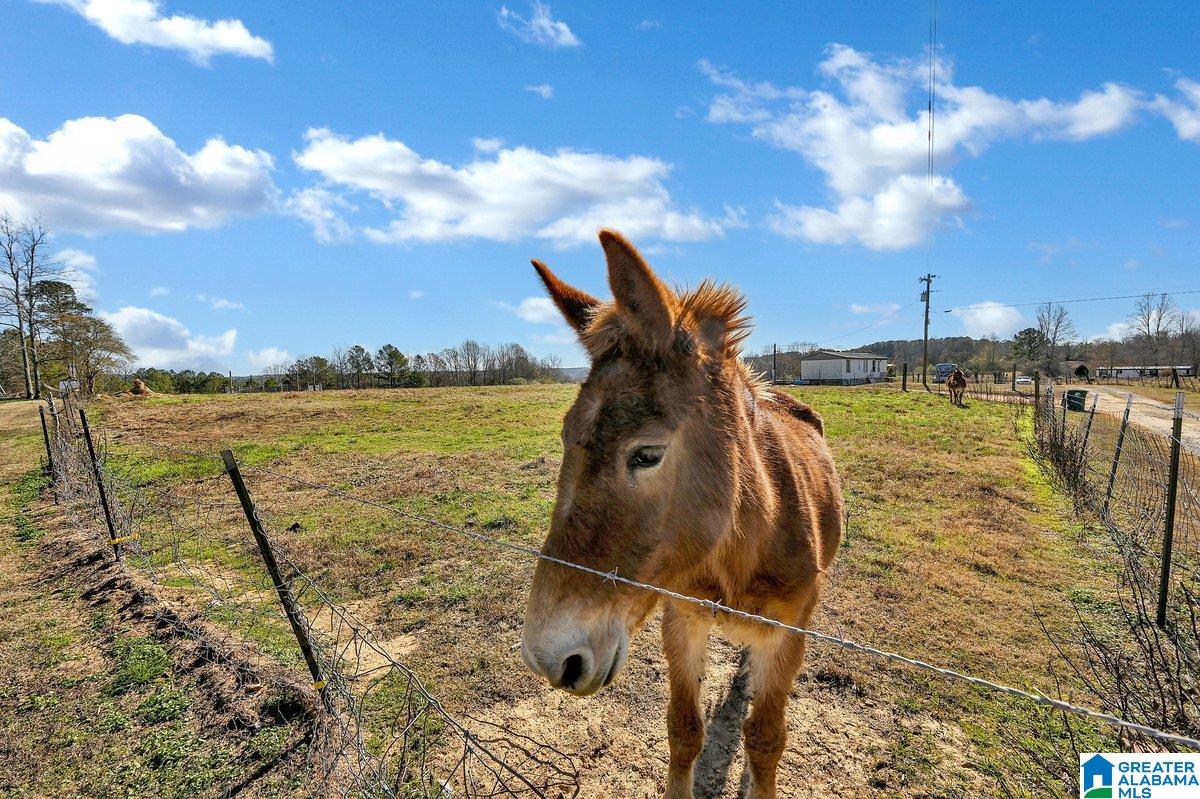 MLS #21439023 img 43