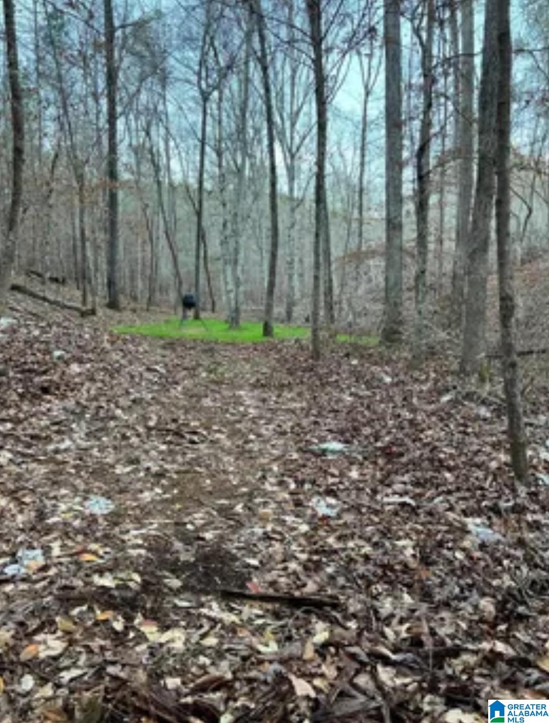 MLS #21440665 img 47