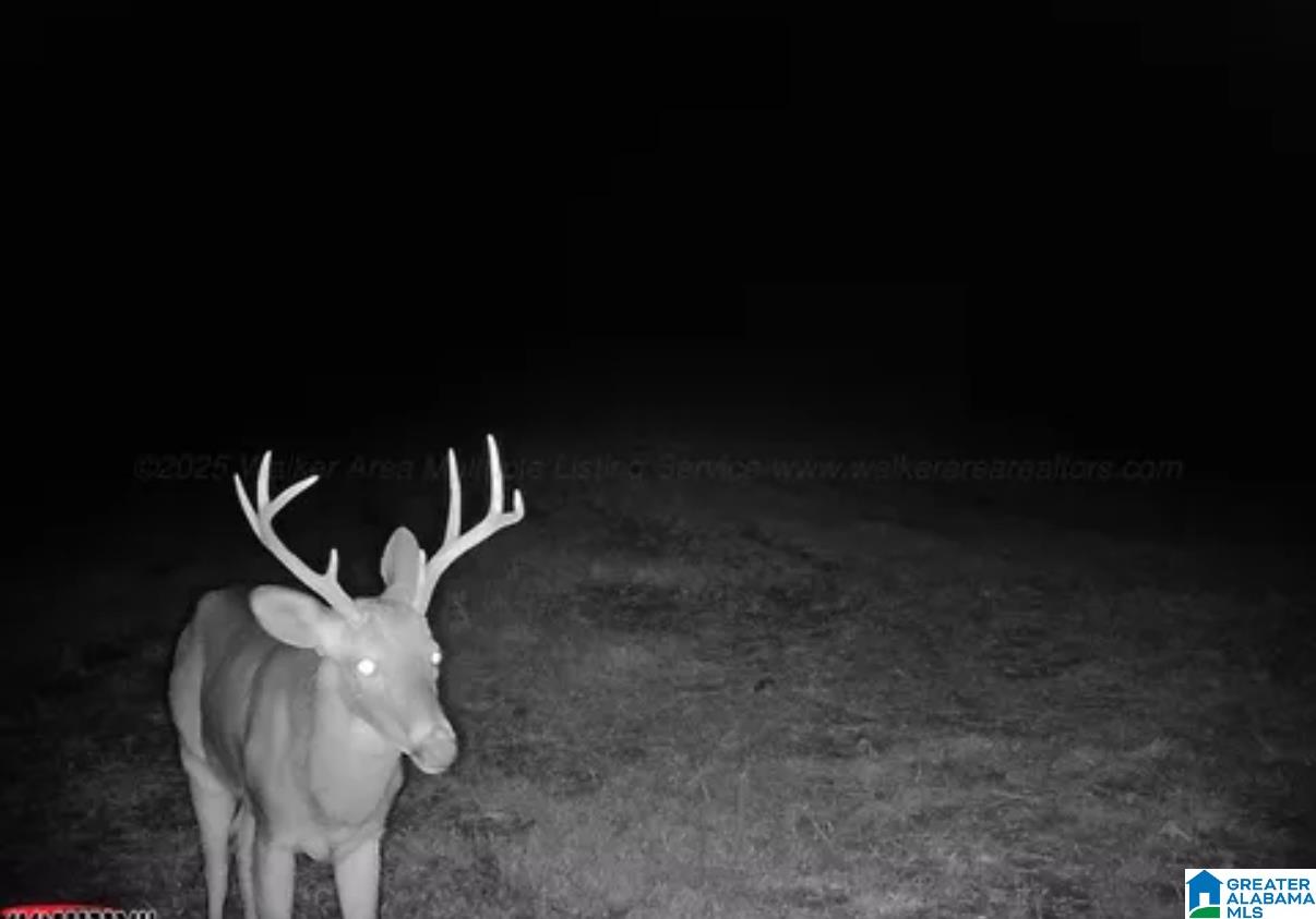 MLS #21440665 img 48