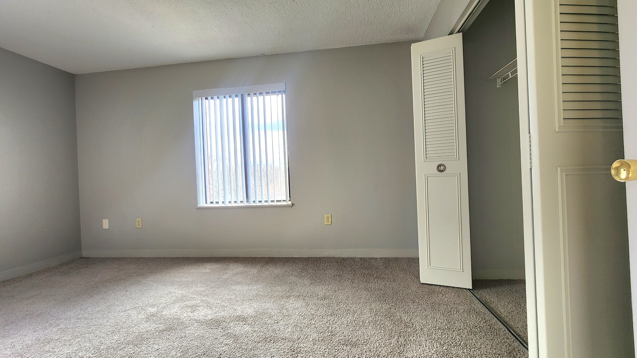 MLS #2800_398366220 img 7