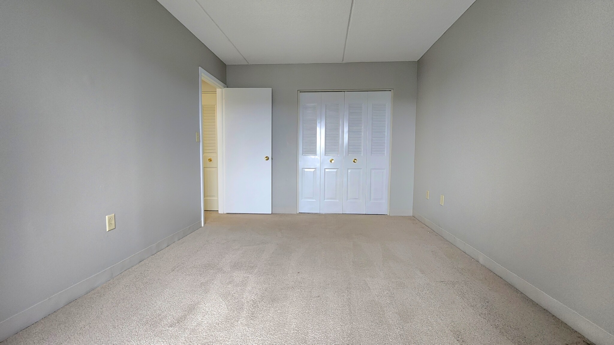 MLS #2800_399102943 img 13