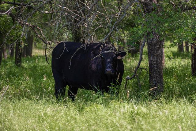 MLS #21078895 image #19