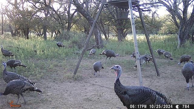 MLS #21078895 image #28