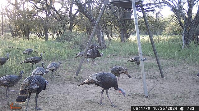 MLS #21078895 image #29