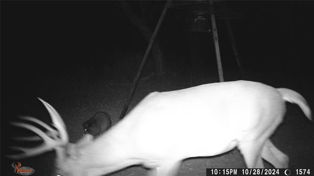 MLS #21078895 image #30