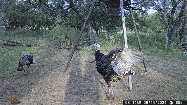 MLS #21078895 image #31