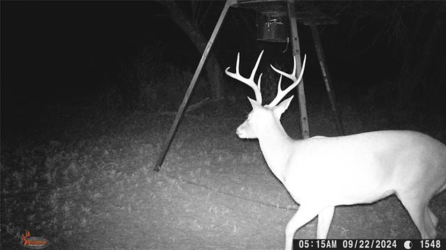 MLS #21078895 image #32