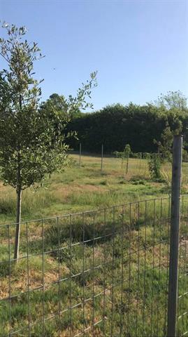 MLS #21095099 image #5