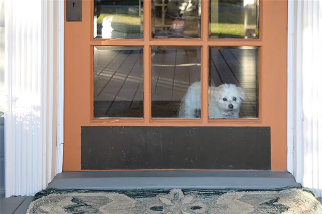 MLS #21097904 image #37