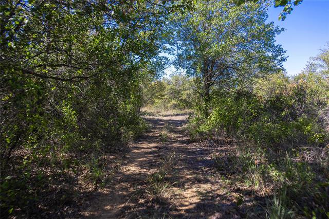 MLS #21112463 image #34