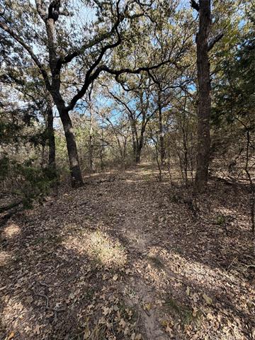 MLS #21112641 image #11