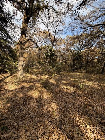 MLS #21112641 image #9