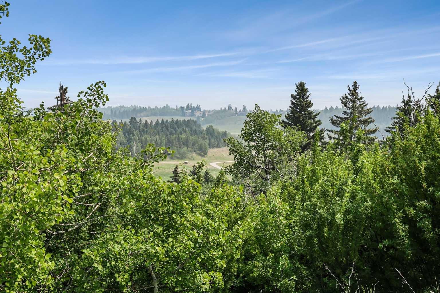 MLS #A2229596 image #50