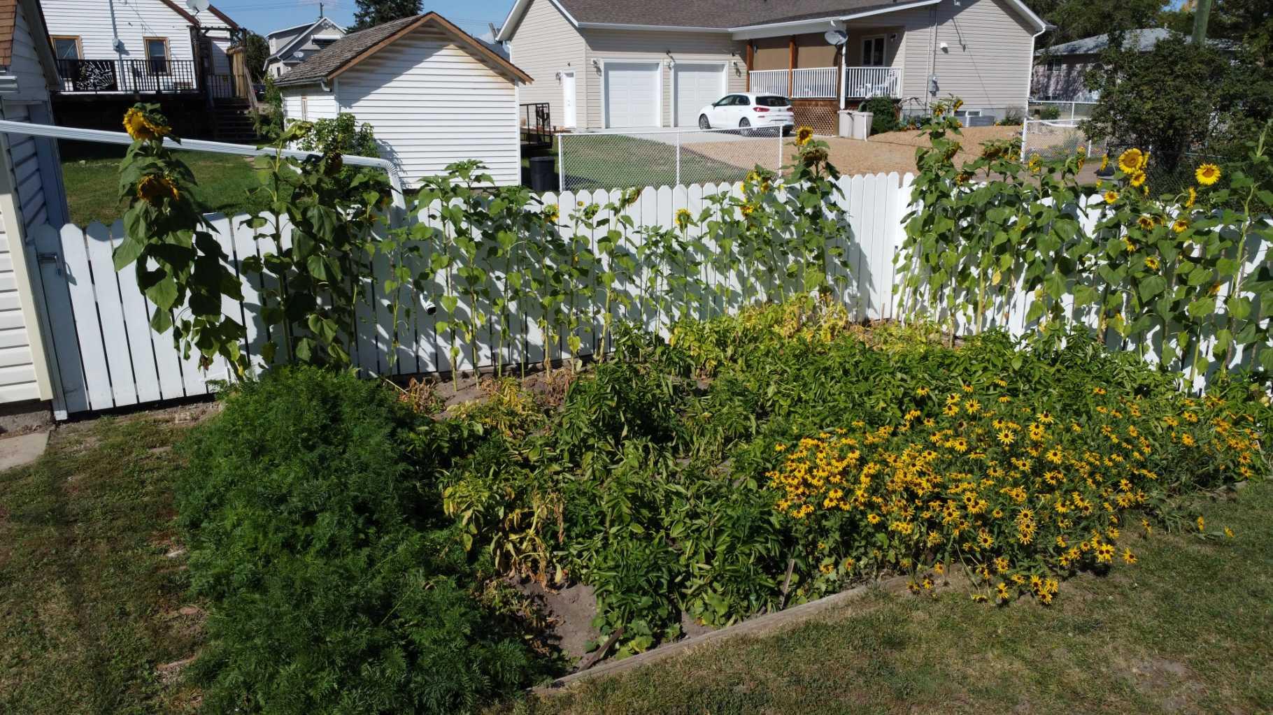 MLS #A2252990 image #48