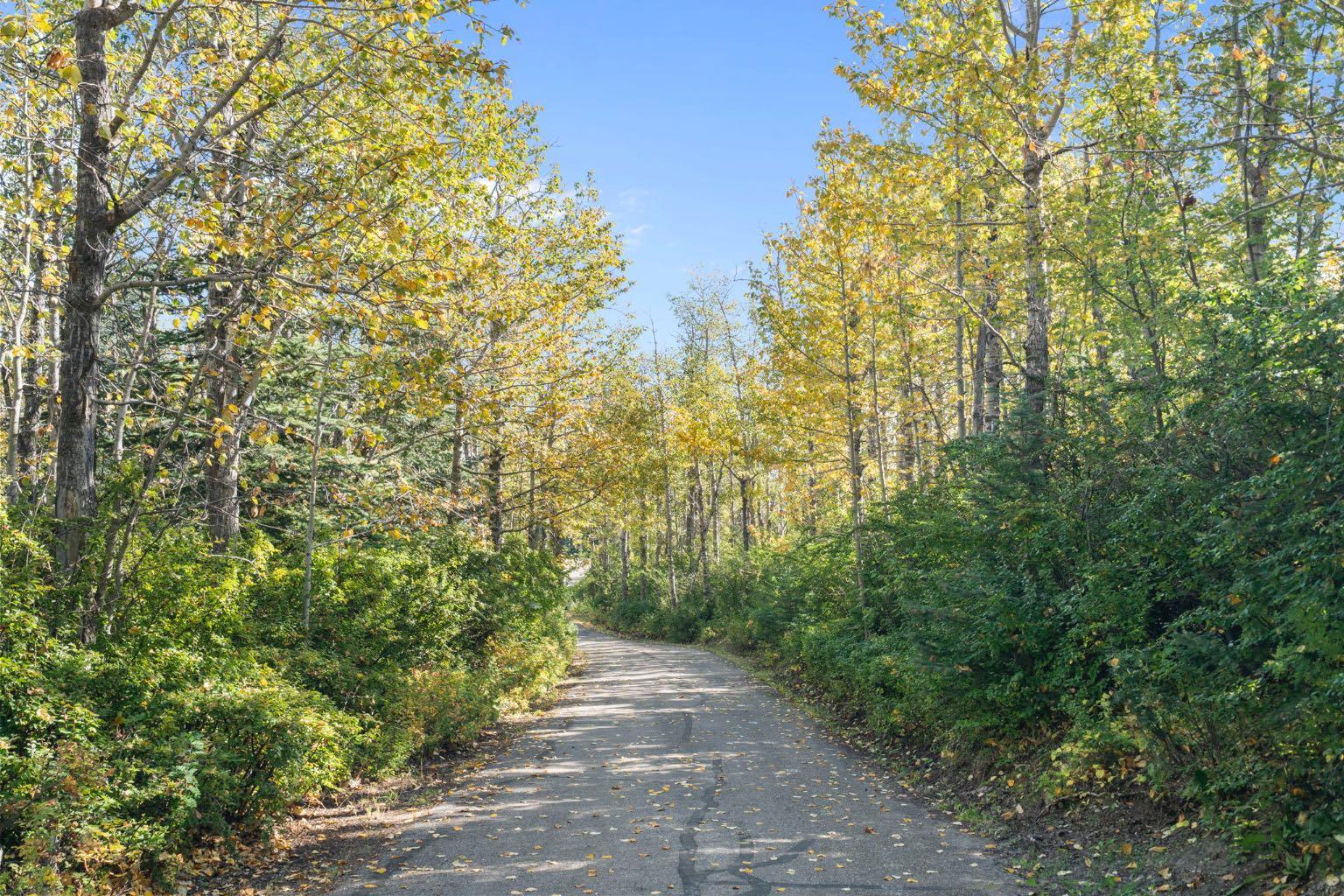 MLS #A2254240 image #49