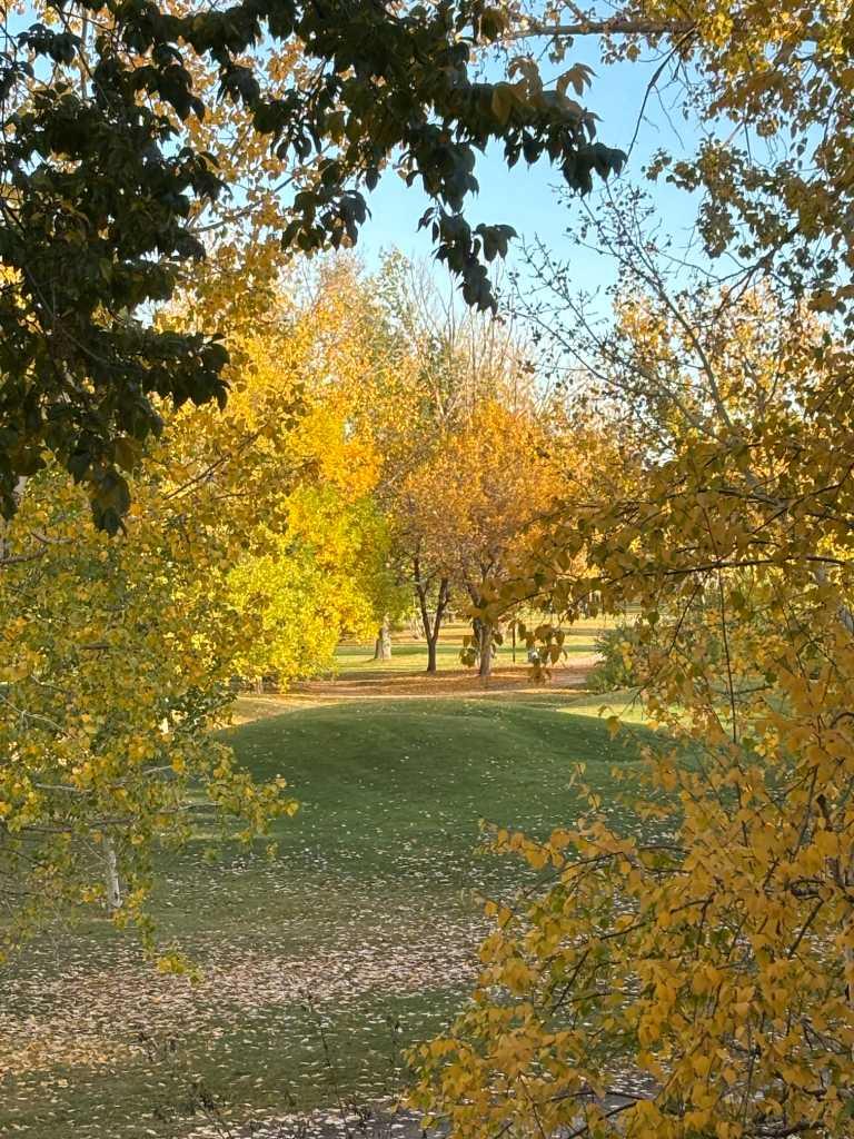 MLS #A2255771 image #3