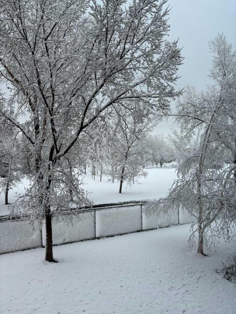 MLS #A2255771 image #5