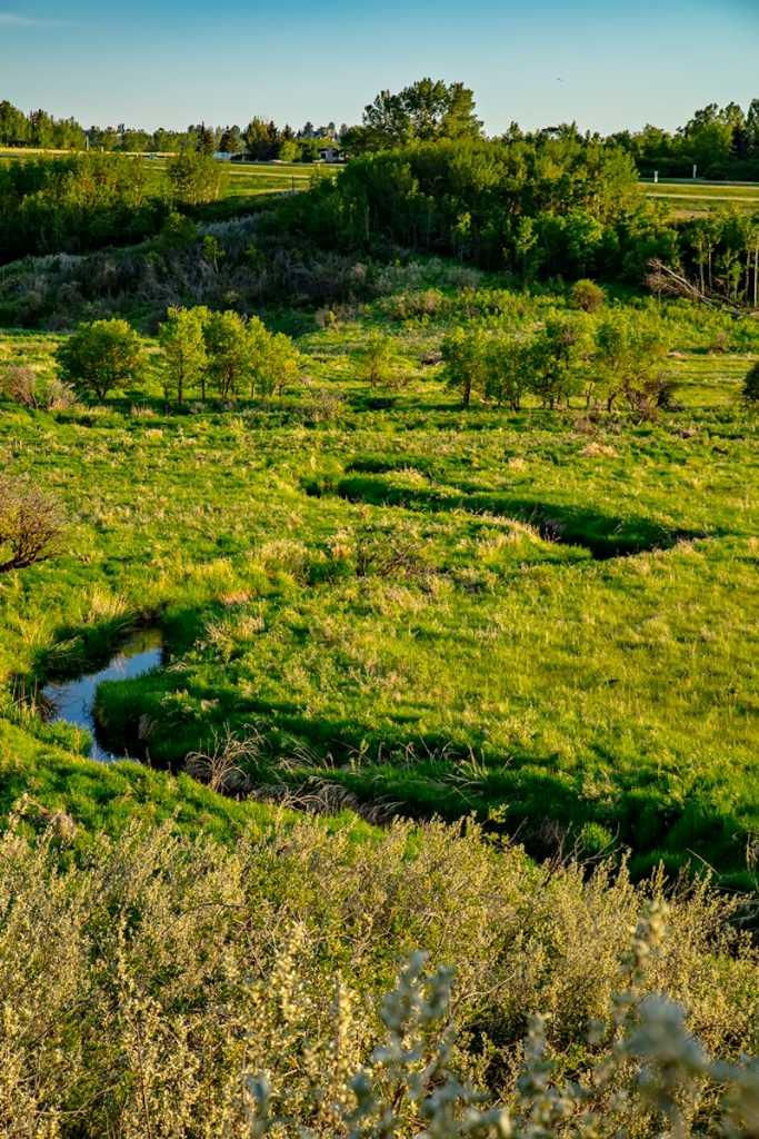 MLS #A2257302 image #48