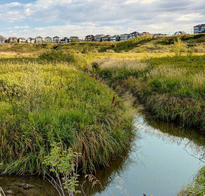 MLS #A2257302 image #49