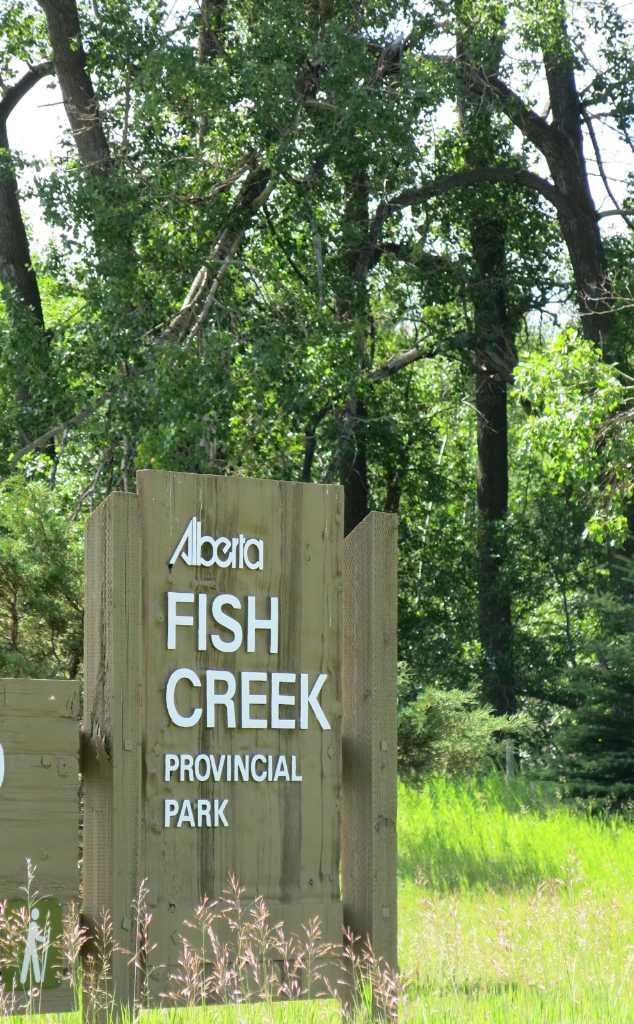 MLS #A2257762 image #50